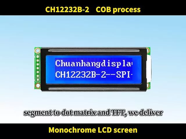 CH12232B-2 Monochrome LCD Display Module