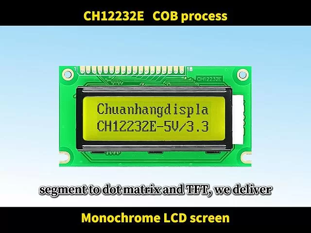 CH12232E Graphic LCD Display Module