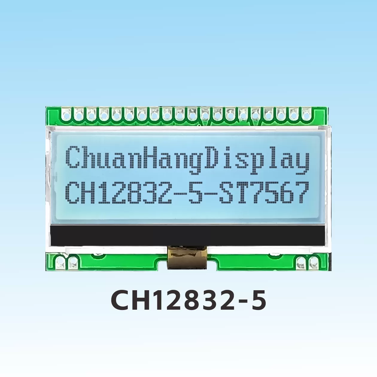 CH12832-5