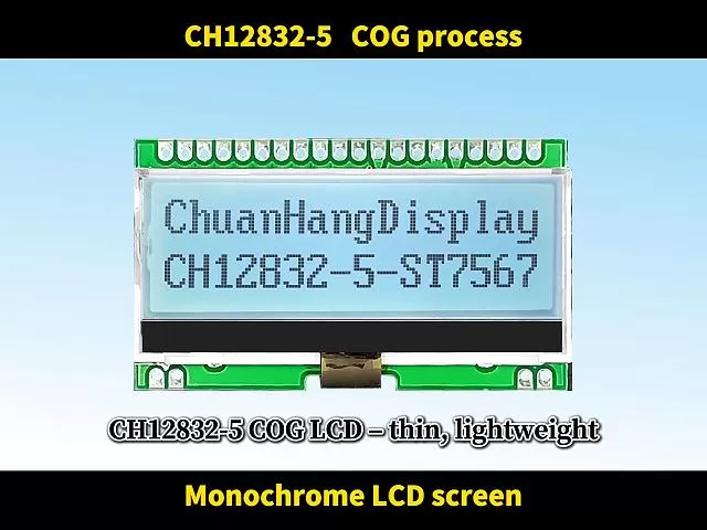CH12832-5