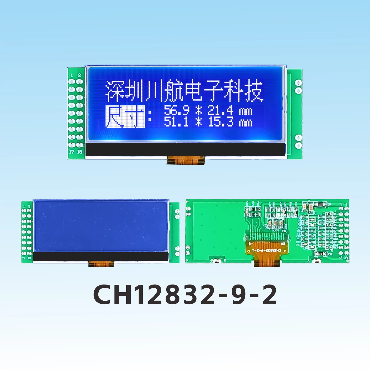 CH12832-9-2 Graphic COG LCD Display Module (COG+PCB)
