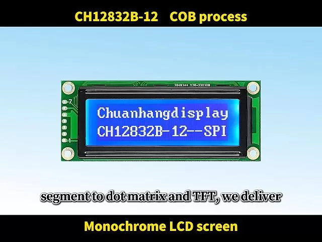 CH12832B-12 Graphic LCD 128x32, AIP31066 LCD