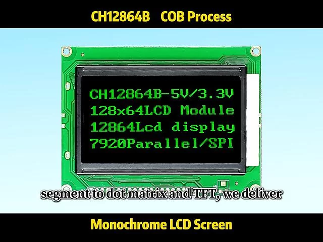 CH12864B 12864 lcd pinout