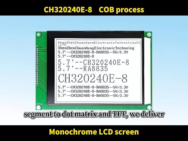 CH320240E-8 COG Graphic LCD Module
