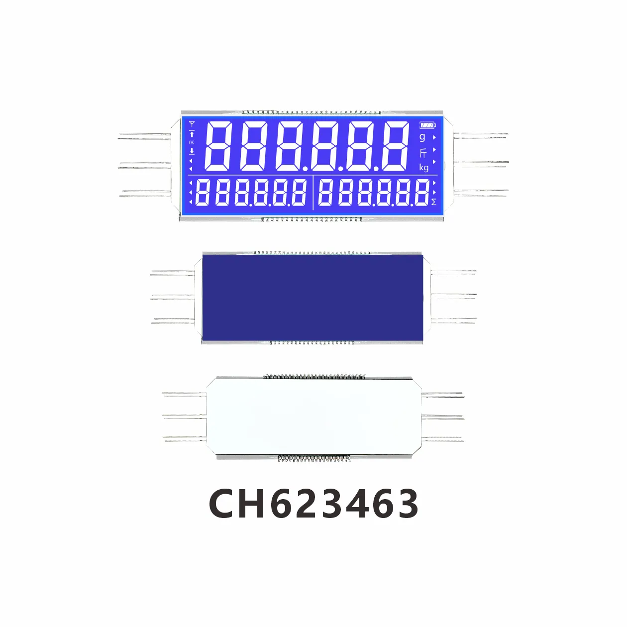 CH623463  Pesage &eacute;lectronique industriel  LCD