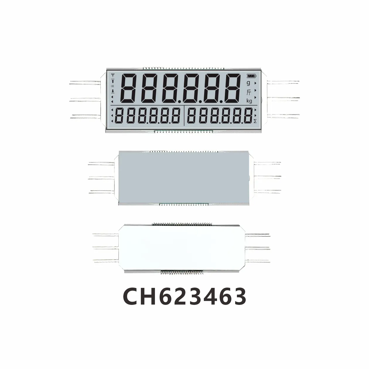 CH623463  Pesage &eacute;lectronique industriel  LCD